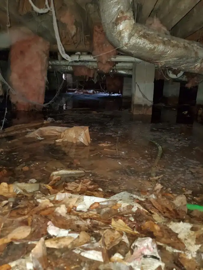 Crawl space flood assessment for Commercial Water Damage Restoration in Hilo