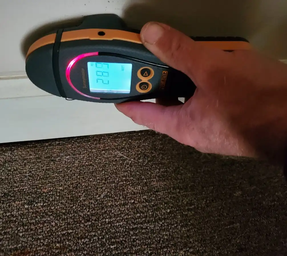 Moisture detection at baseboard during Mold Inspection & Testing in Hilo